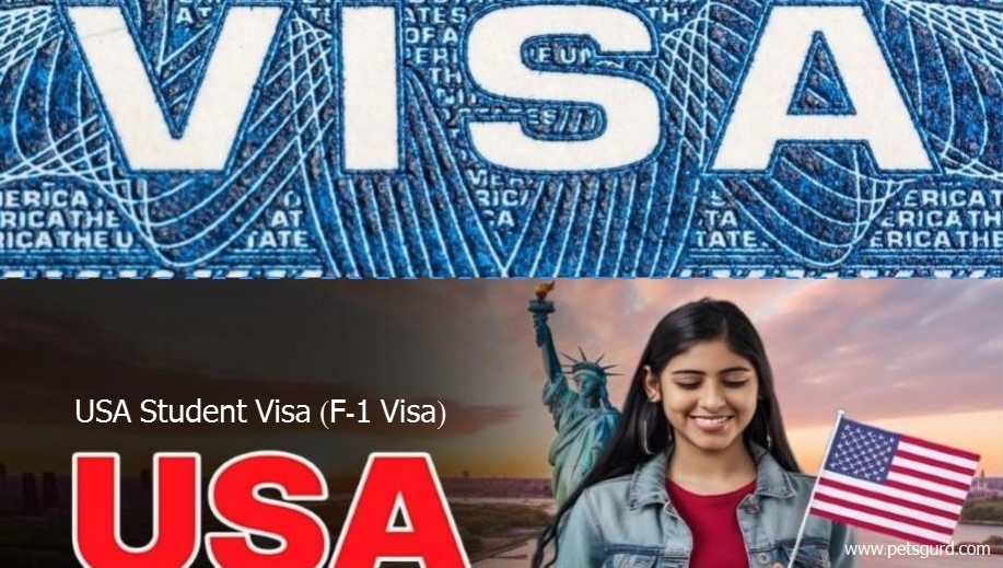 US student visa (F-1 visa)