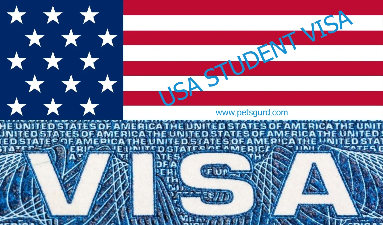 US student visa (F-1 visa)