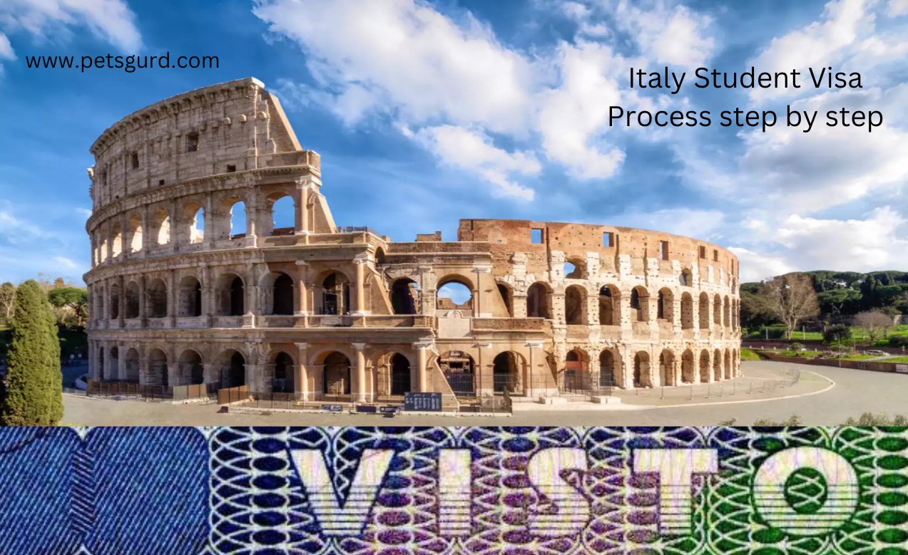 Italy Student Visa Process step by step and Document requirements
