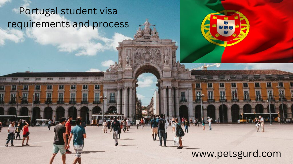 Portugal student visa requirements and process 2