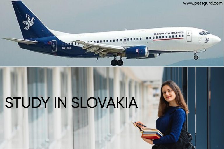 Slovakia Student Visa Application Process, Required Documents and Residence Permit